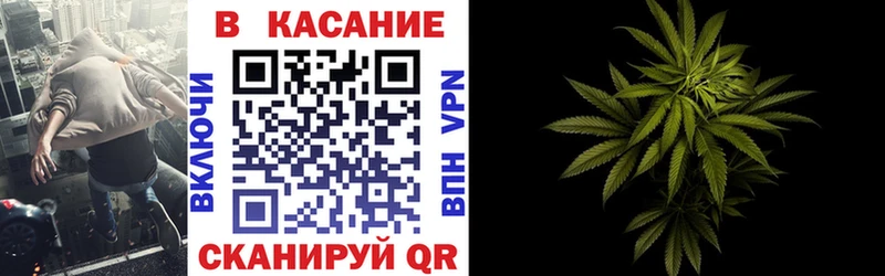 Псилоцибиновые грибы Томмот