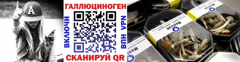 Галлюциногенные грибы Psilocybine cubensis Томмот