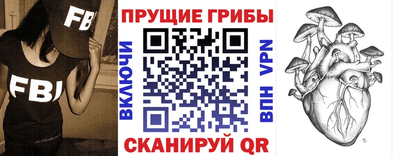 Галлюциногенные грибы GOLDEN TEACHER  купить наркотики цена  Томмот 